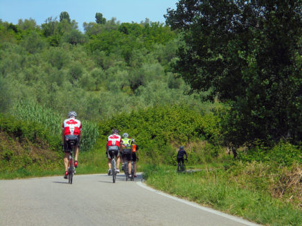 Belvedere Sport & Wellness Hotel