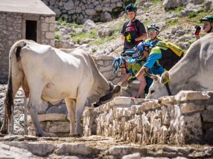 Ambasciatori Place Hotel