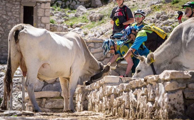 Ambasciatori Place Hotel