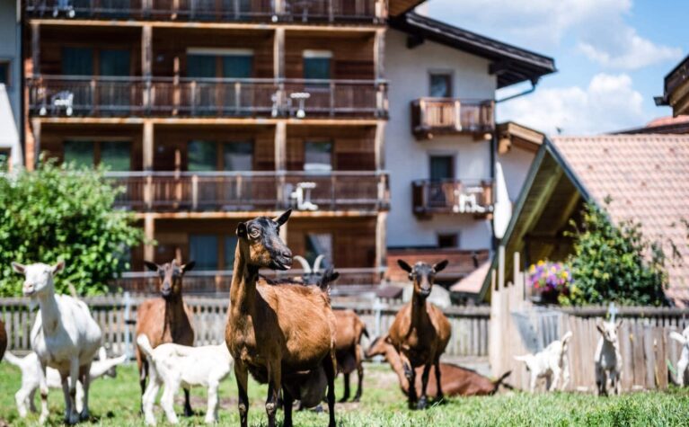 Sporthotel Exclusive