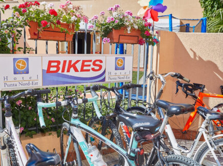 Hotel Punta Nord-Est