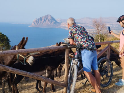 Hotel Punta Nord-Est