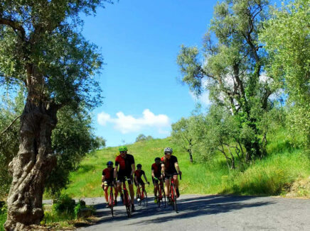 Villa Giada Bike Resort