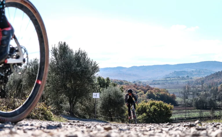 Agriturismo Il Molinello