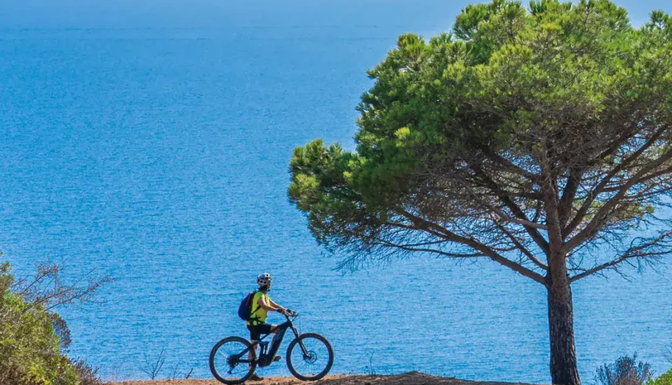 Bici e gusto: i migliori piatti da gustare pedalando in Italia