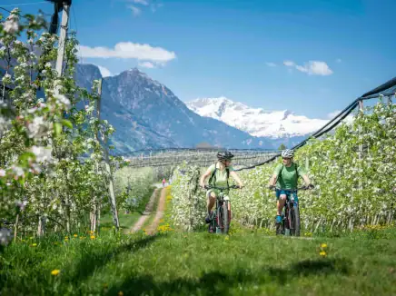 Prunner Luxury Suites