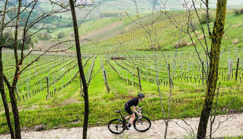 Bici e gusto: i migliori piatti da gustare pedalando in Italia