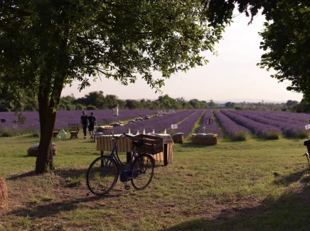 Agriturismo Il Molinello