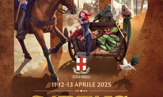 VERCELLAE HOSPITALES